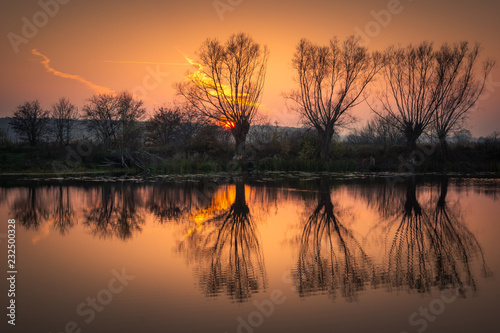 Sunset over the willows on the Habdzin lake near Konstancin-Jeziorna, Masovia, Poland