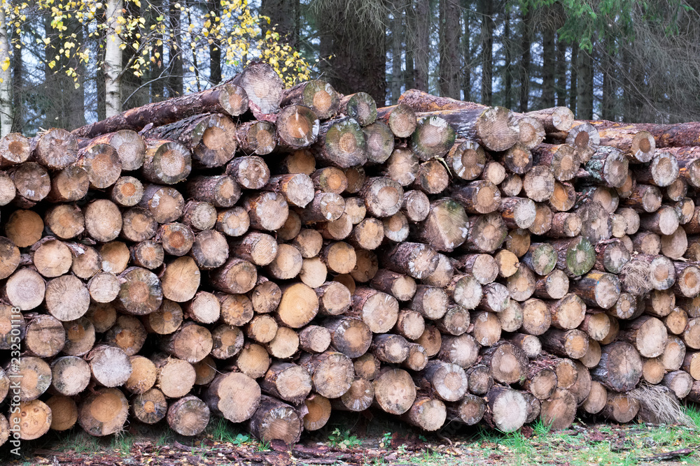 Chopped wood logs for sale use in fire place at home stored on forest woods green biomass energy uk
