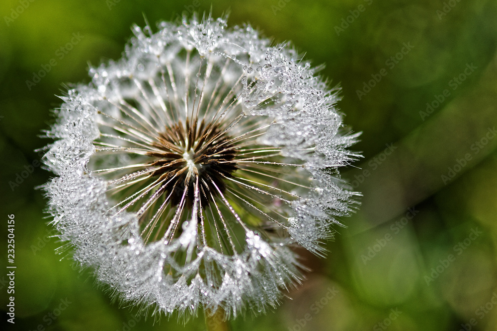 Fototapeta premium Waiting to Launch