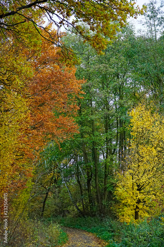 Herbst © lichtblick89