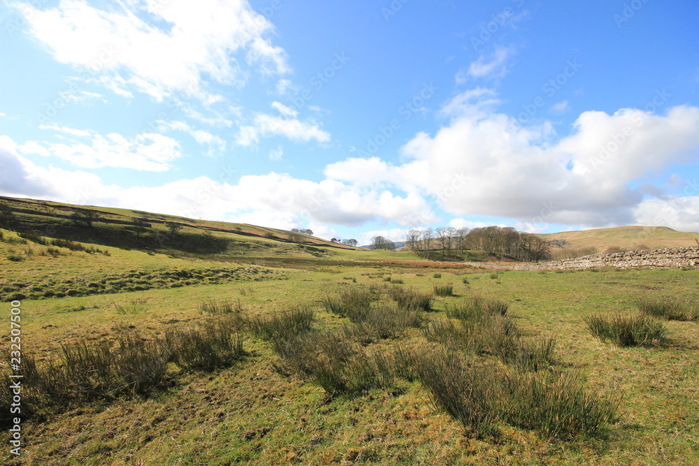 Fototapeta premium Yorkshire moors, UK