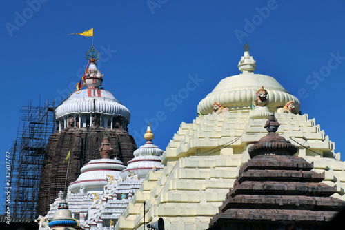 Shree Jagannath Temple at Puri in Odisha, India