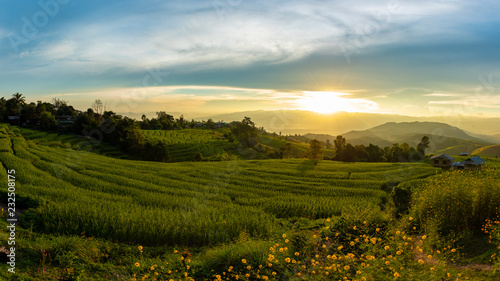 Cuadro en lienzo Sunset landscape view at green terraced rice field in Pa Bong Piang , Mae Chaem, Chiang Mai, Thailand