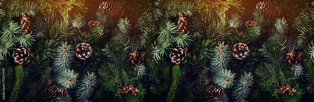 Holiday background of Christmas tree branches, spruce, juniper, fir, larch, pine cones with light. Xmas and New Year theme. Top view, wide composition, seamless pattern
