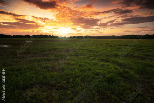 beautiful meadow in sunset.