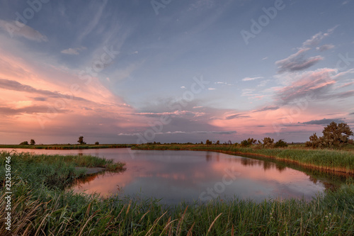 Evening in the reeds