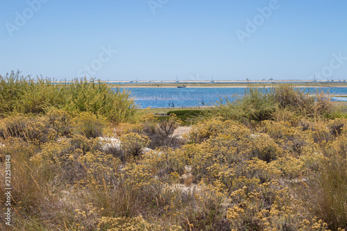 National Park Ria Formosa in Algarve  Portugal