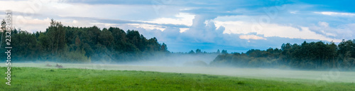 landscape with mist and forest © Urmas