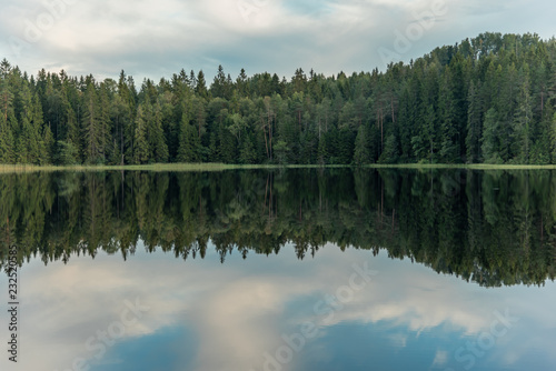 reflection on forest lake