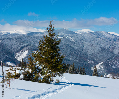 Winter morning Carpathian mountains, Ukraine © wildman