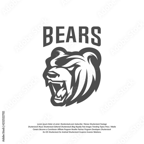 Bear Logo design vector. Modern professional grizzly bear logo for a sport team