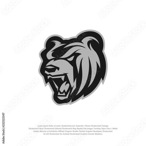 Bear Logo design vector. Modern professional grizzly bear logo for a sport team