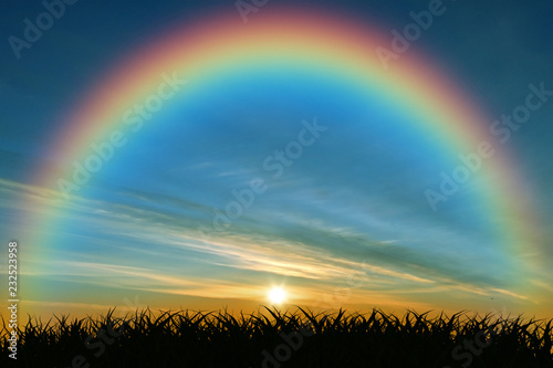 The rainbow at sunset in the bush isolated