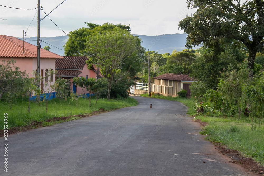road in the village road in the village