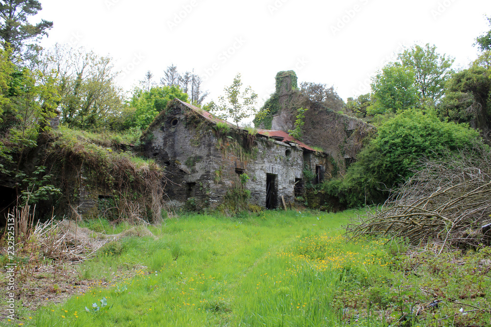 Broken down old home in the Forest