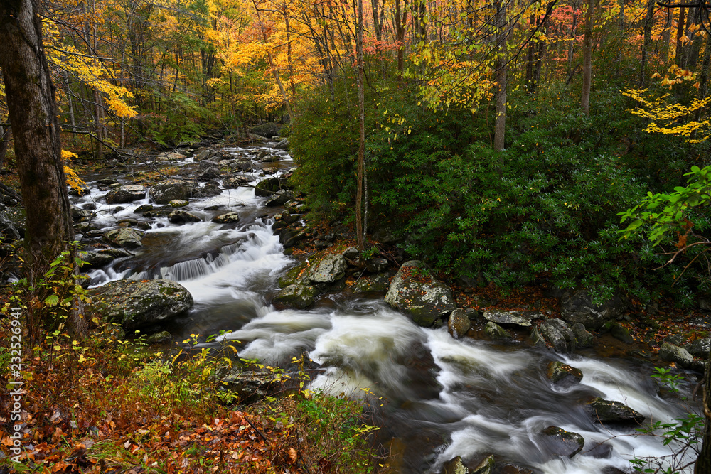 Cascade in Little Pigeon River in the Autumn