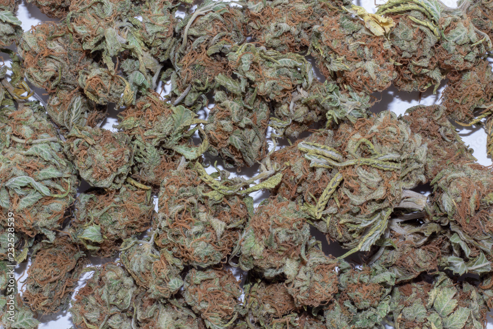 Close up of deep green and red haired marijuana buds in a large pile.