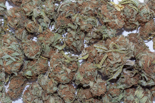 Obraz na płótnie Close up of deep green and red haired marijuana buds in a large pile. w salonie