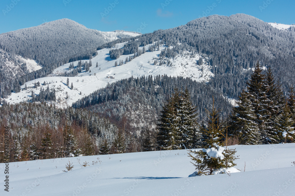 Winter snowy Carpathian mountains, Ukraine