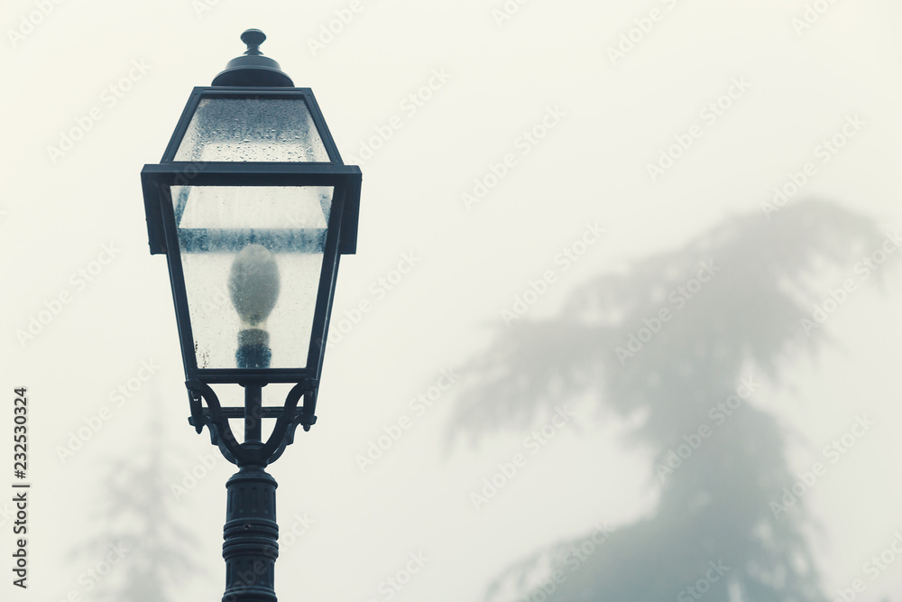 Foggy morning, vintage street lamp of a park, isolated on white