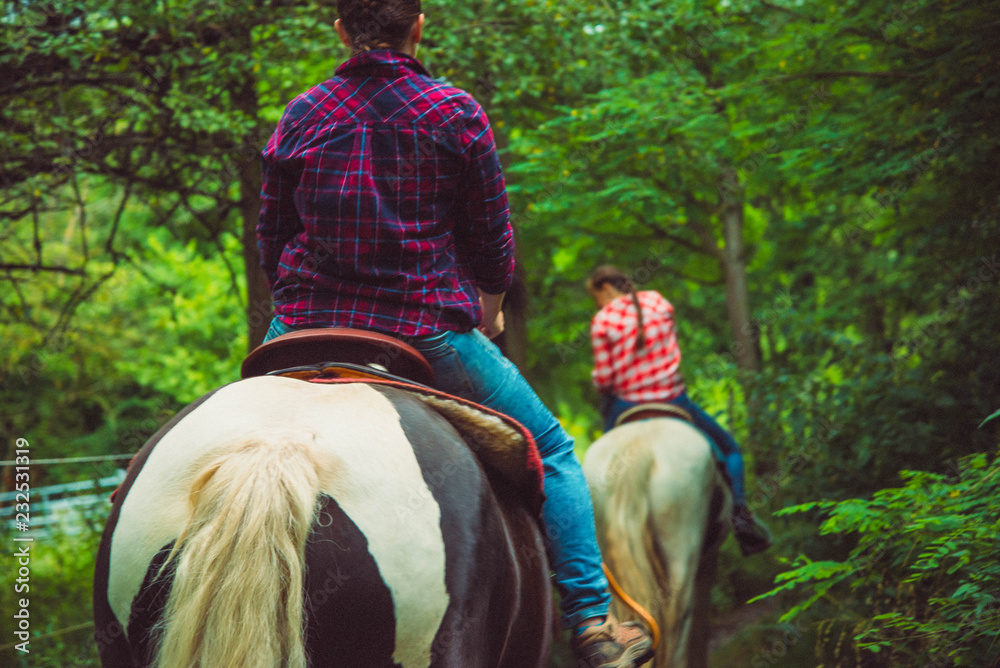 horseback riding in the forest