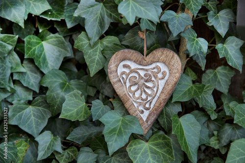 decorative wooden heart hanging on a ivy covered wall photo