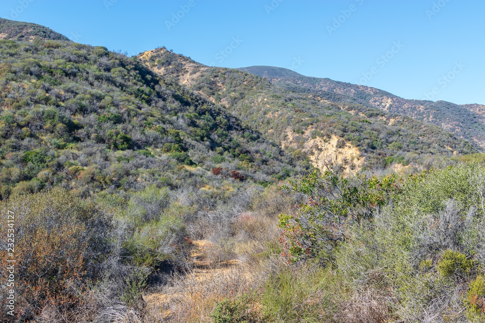 Dry fall day in Southern California mountains with hiking trails hidden by chaparral