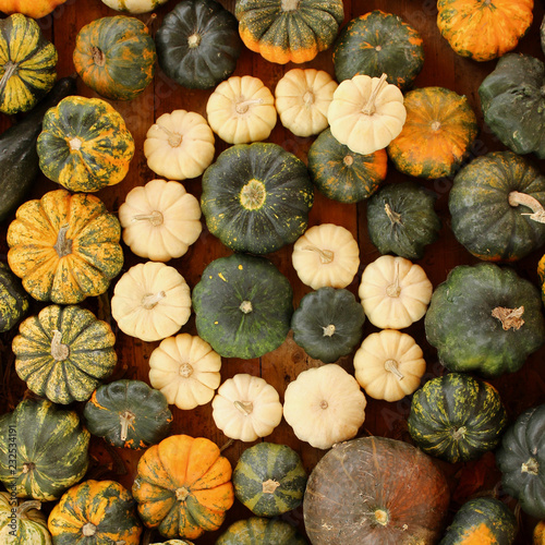 Wallpaper Mural alphabet, letter g, pumpkin, food Torontodigital.ca