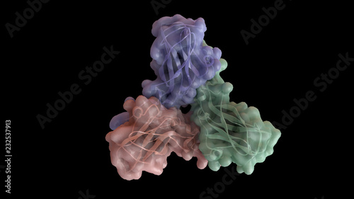 3D CG rendered image of scientifically accurate Brome Mosaic Virus Capsid based on PDB : 3J7L (capsomere)