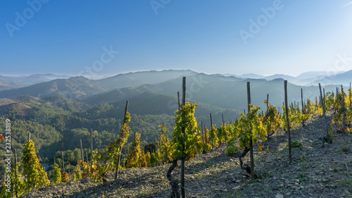 Mountains and vineyards in Priorat, Spain