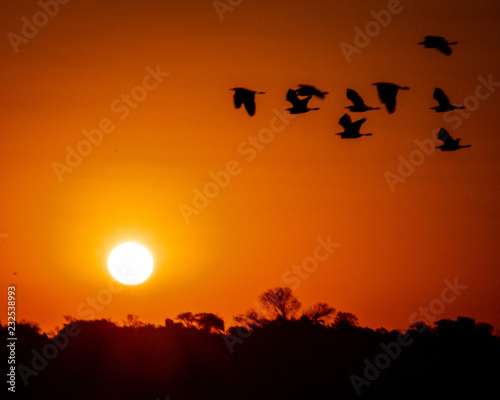 Sunset in Pantanal