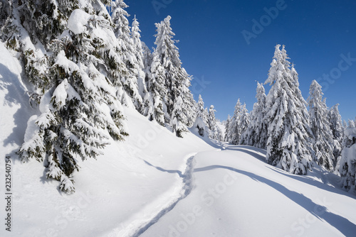 Frosty winter weather on a sunny day