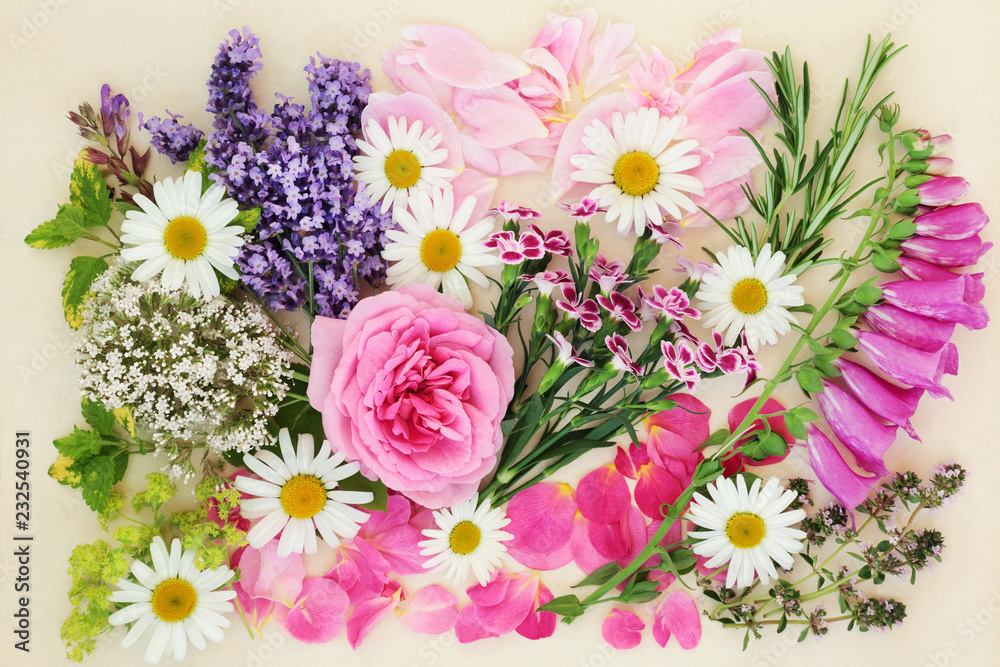 Flowers and herbs used in natural and chinese herbal medicine on cream background. Top view, flat lay. Flowers and herbs used in natural and chinese herbal medicine on cream background. Top view, flat lay.