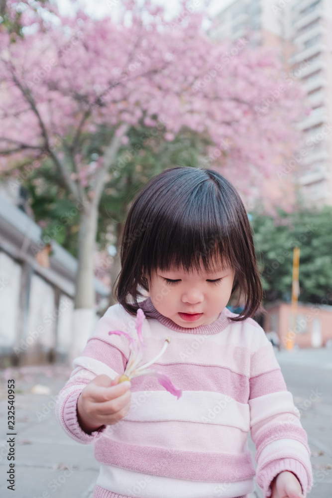 Asian little girl with Ceiba insignis flower Asian little girl with Ceiba insignis flower