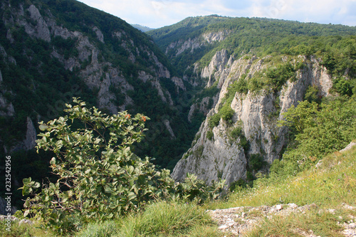 Zadielska Valley in Slovak Karst (Slovensky kras), Slovakia