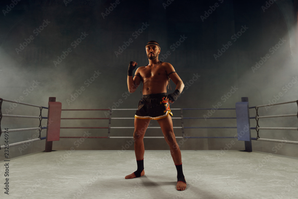 Muay thai, thai boxing fighters