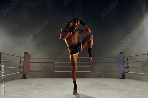 Muay thai, thai boxing fighters © VIAR PRO studio