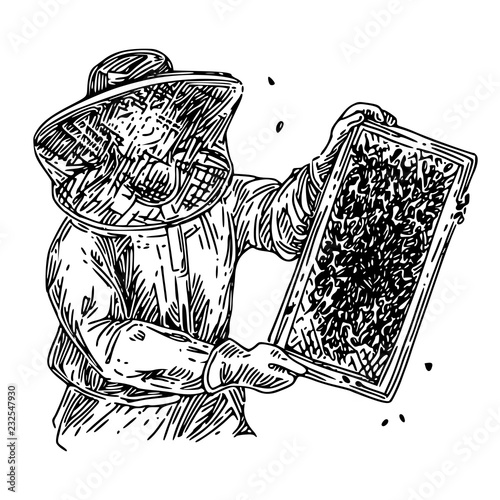 Beekeeper in protective clothing keeping honeycomb with bees. Sketch. Engraving style. Vector illustration.