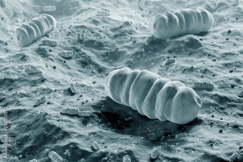 Three gray microbes over gray background photo