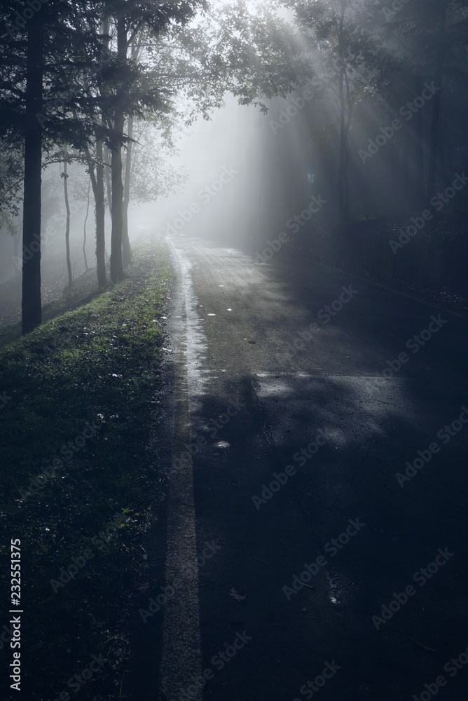 the road with sun rays