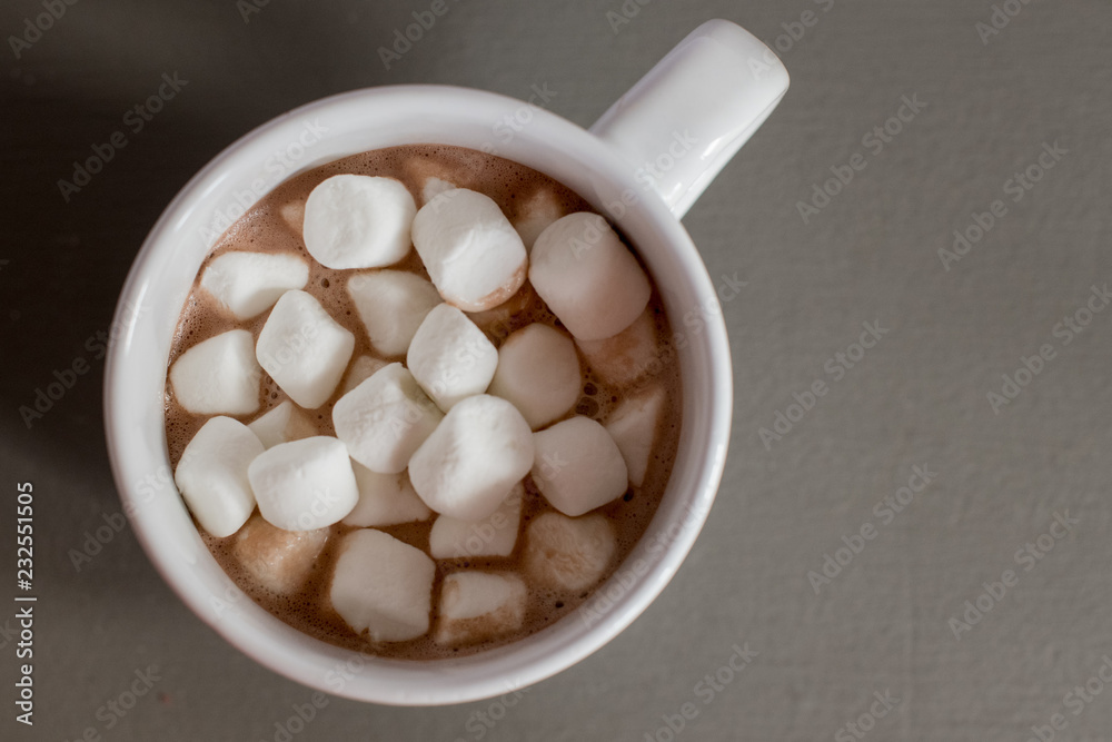 hot cocoa with marshmallows hot cocoa with marshmallows