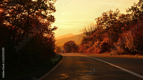 The road in the countryside in autumn at sunset in gold tones