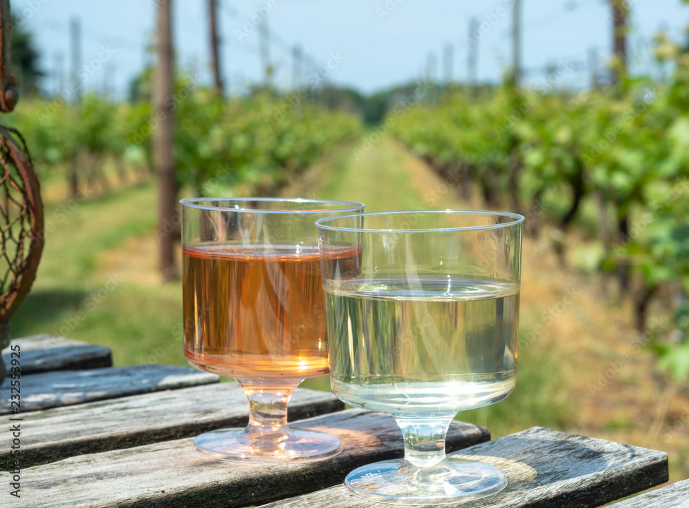 Dutch winery, white and rose wine tasting on vineyard in Brabant on outside terrace Dutch winery, white and rose wine tasting on vineyard in Brabant on outside terrace