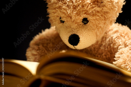 brauner flauschiger lesender teddy bär schwarzer hintergrund