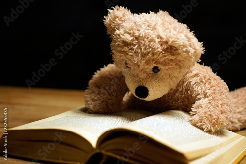 lesender teddybär vor buch