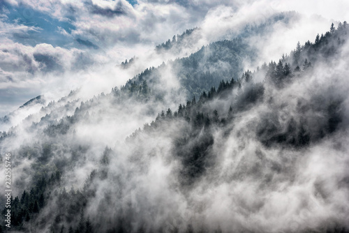 Morning fog in Slovenia mountains