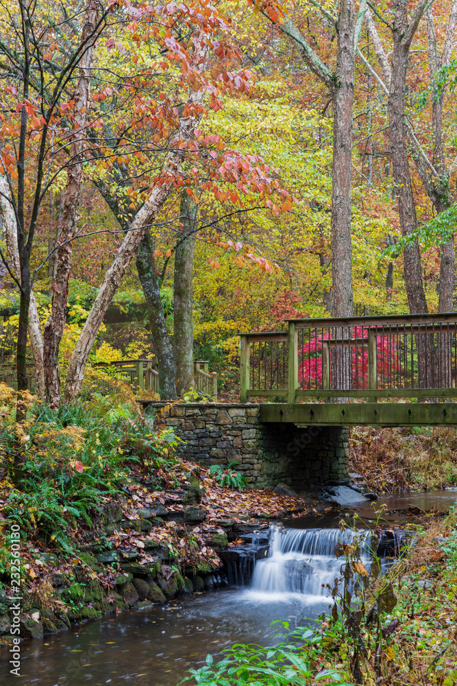 Wooden bridge over a creek with colorful fall foliage at Gibbs Gardens, Georgia.