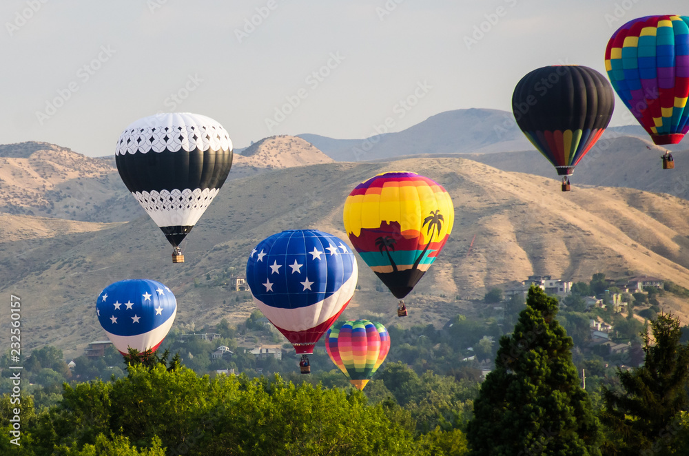 Fototapeta premium Early Morning Launch of Hot Air Balloons