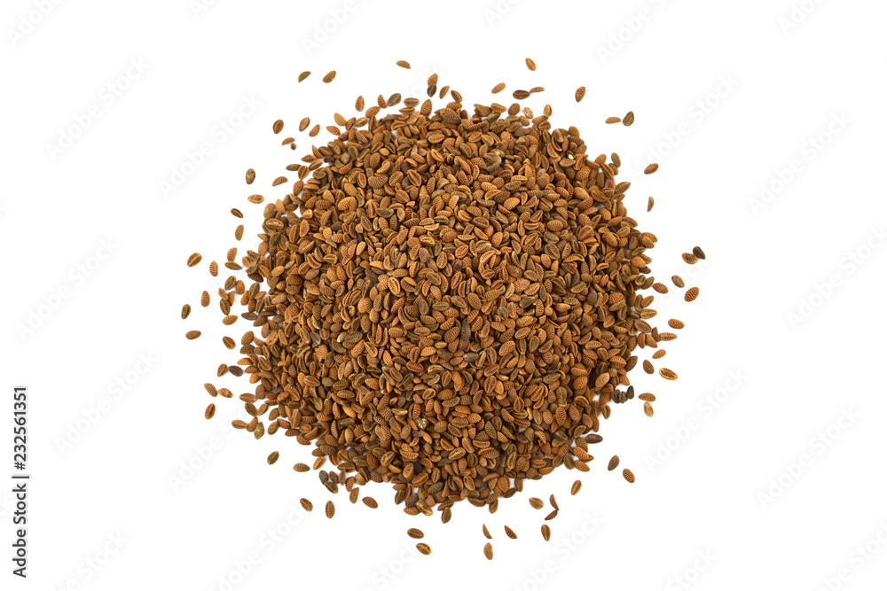 Phacelia Cover Crop Seed Heap. Isolated Top-Down Macro. Phacelia Cover Crop Seed Heap. Isolated Top-Down Macro.