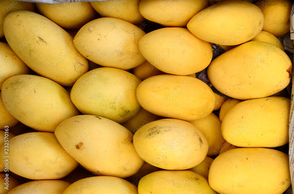 fresh ripe yellow mango fruits symmetrically to attrack buyers at market stall fresh ripe yellow mango fruits symmetrically to attrack buyers at market stall